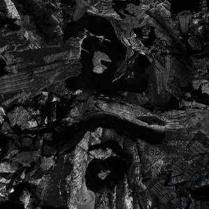 黑人大鷄巴一級黃大雞巴
